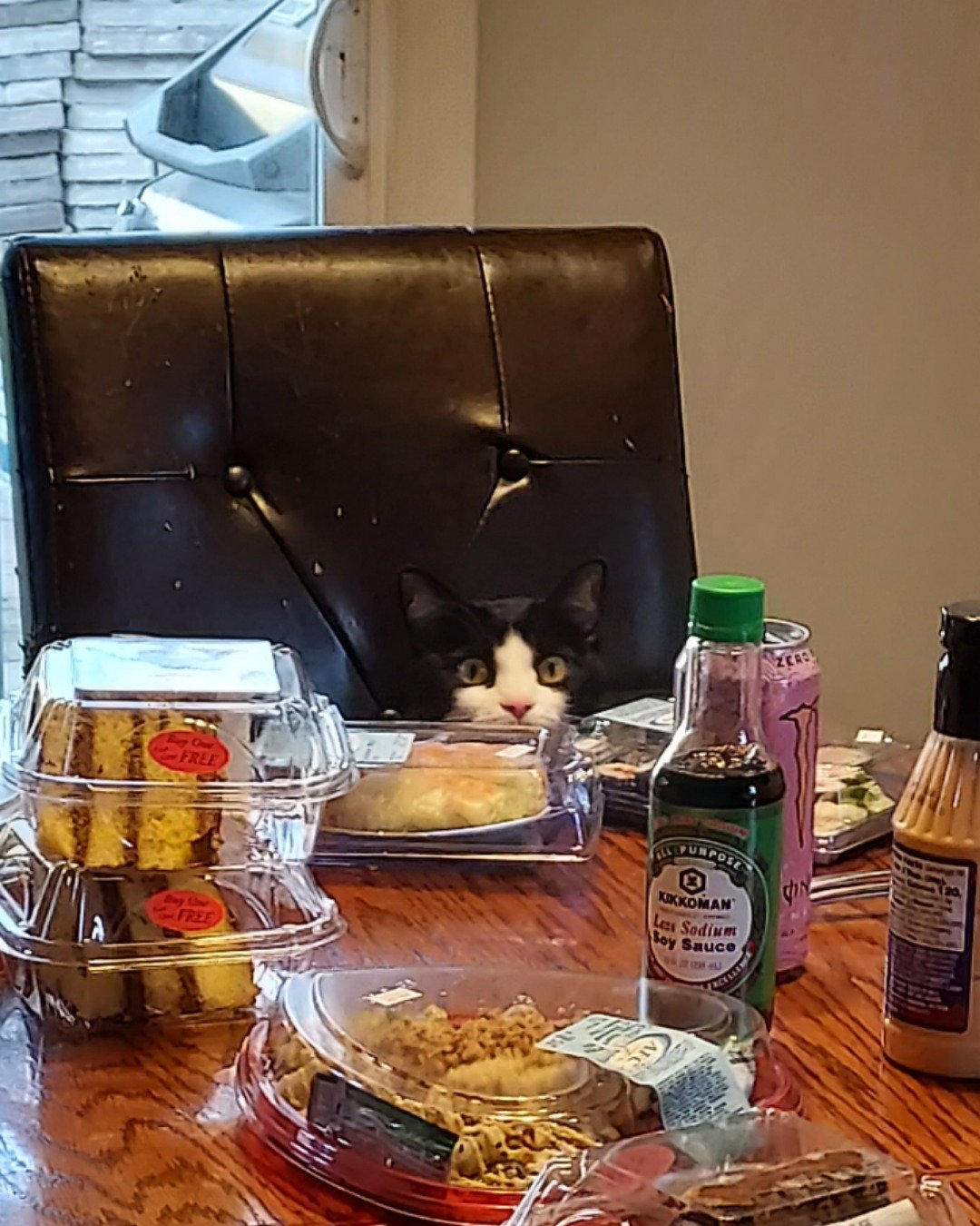 Salem. Dining Table, Furniture, Table, Cat, Kitten