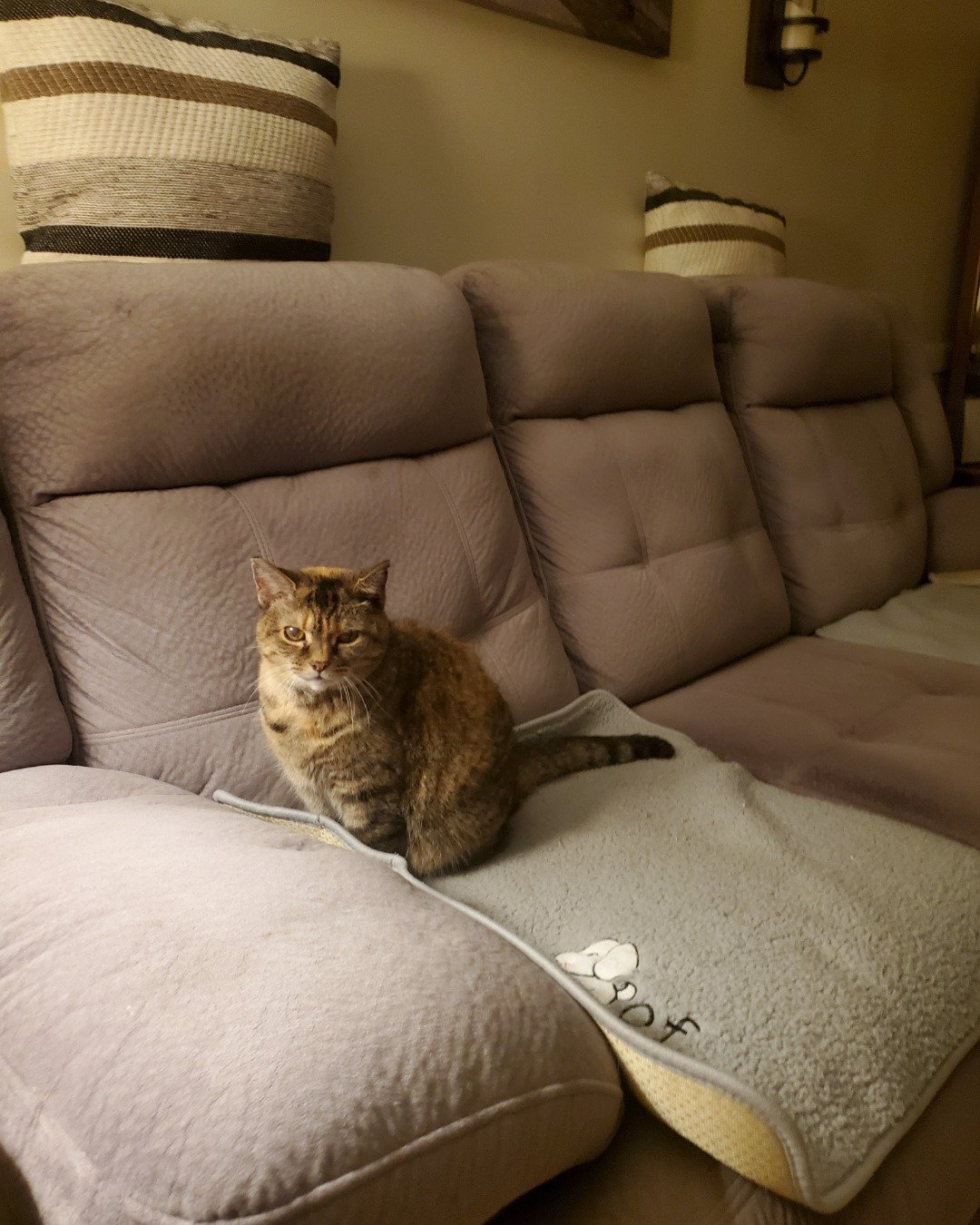 sissy the unknown. Cushion, Home Decor, Couch, Furniture, Architecture, Building