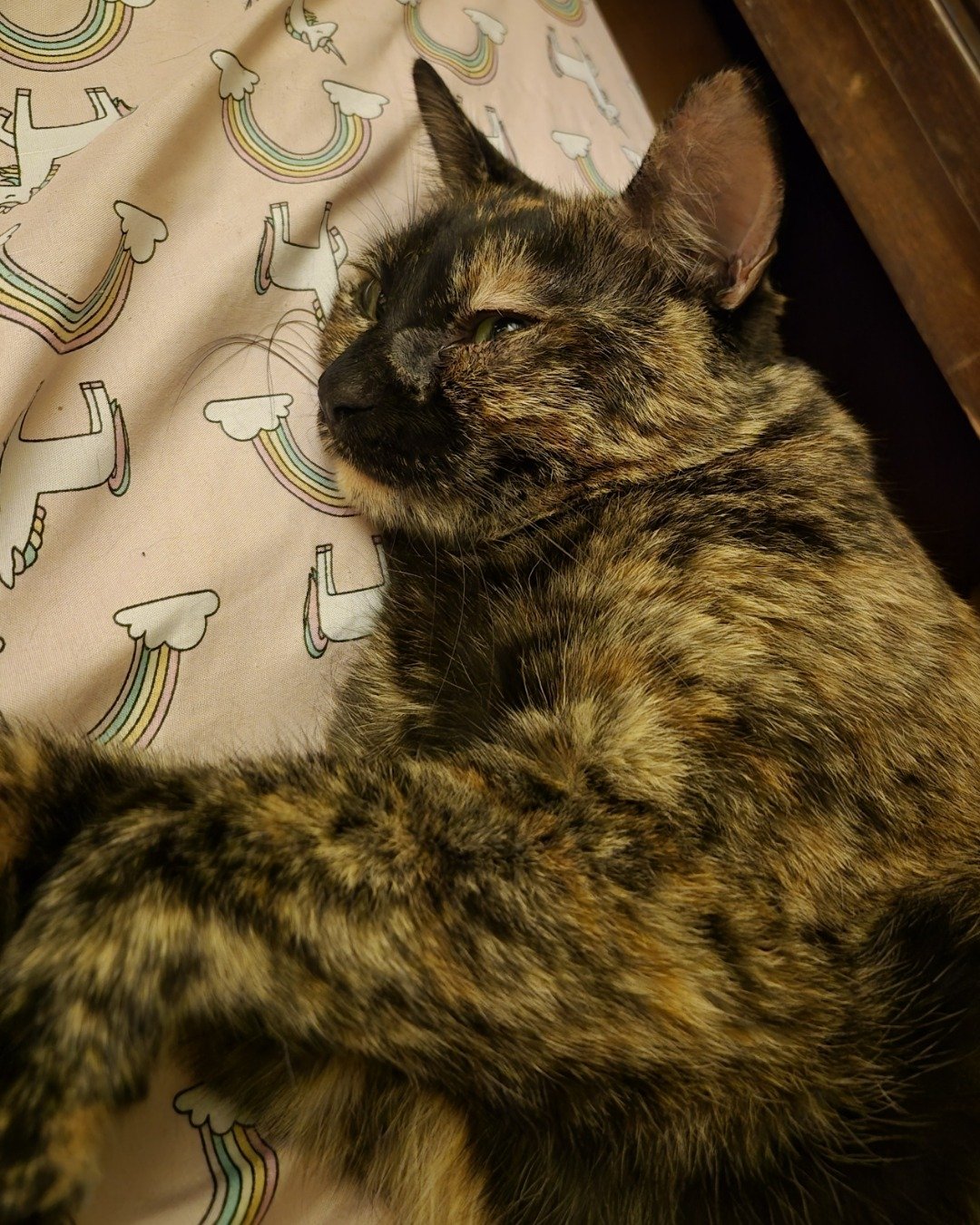 Celestine. Cat