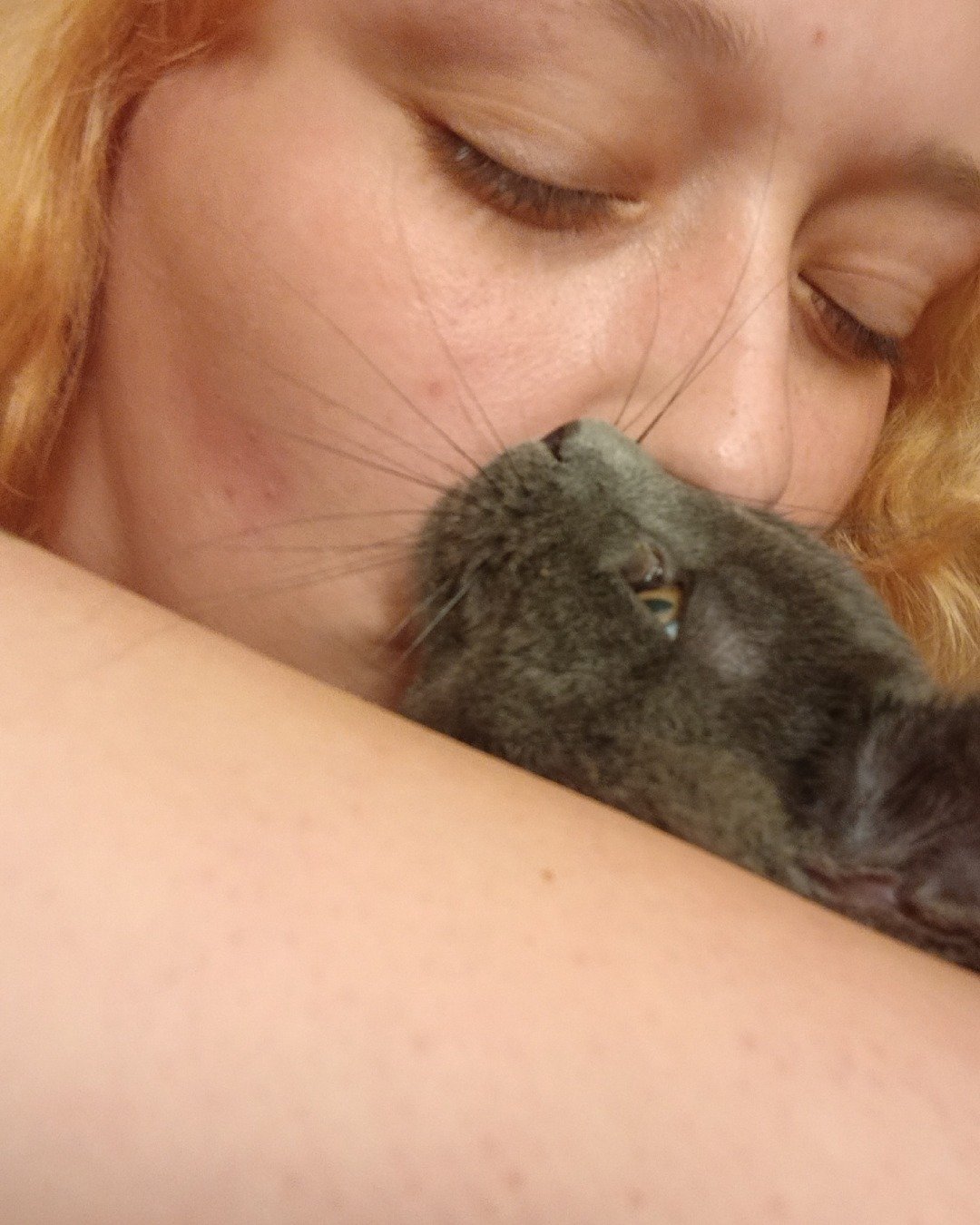 Biscuits the Russian blue. Person, Adult, Female, Woman, Cat