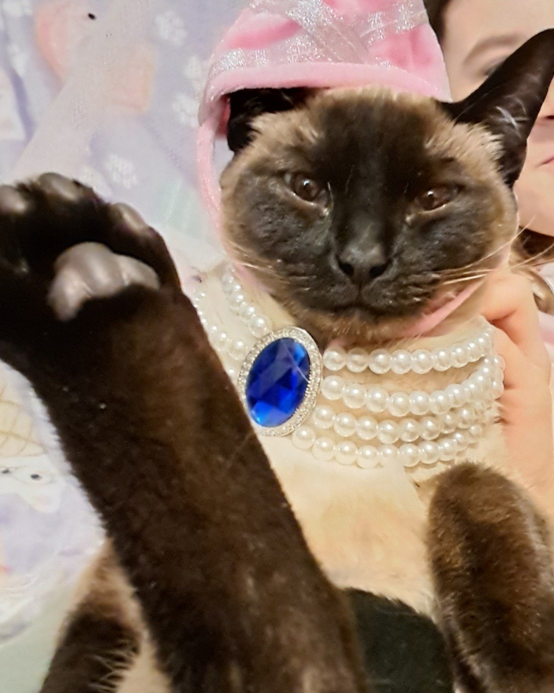 Luna🌙💫 (twin of Stella) the Siamese. Accessories, Jewelry, Necklace, Cat, Gemstone