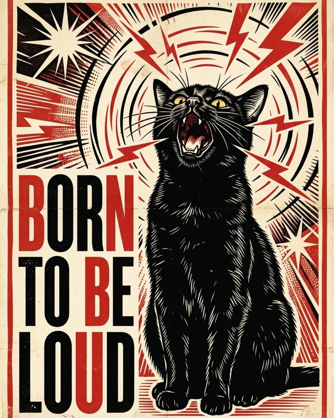 Dexter the We're not sure. Advertisement, Poster, Cat, Black Cat