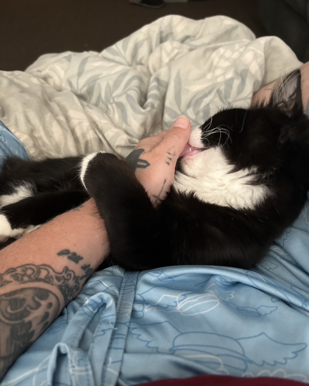 Oliver Bean. Person, Skin, Tattoo, Cat, Couch, Furniture