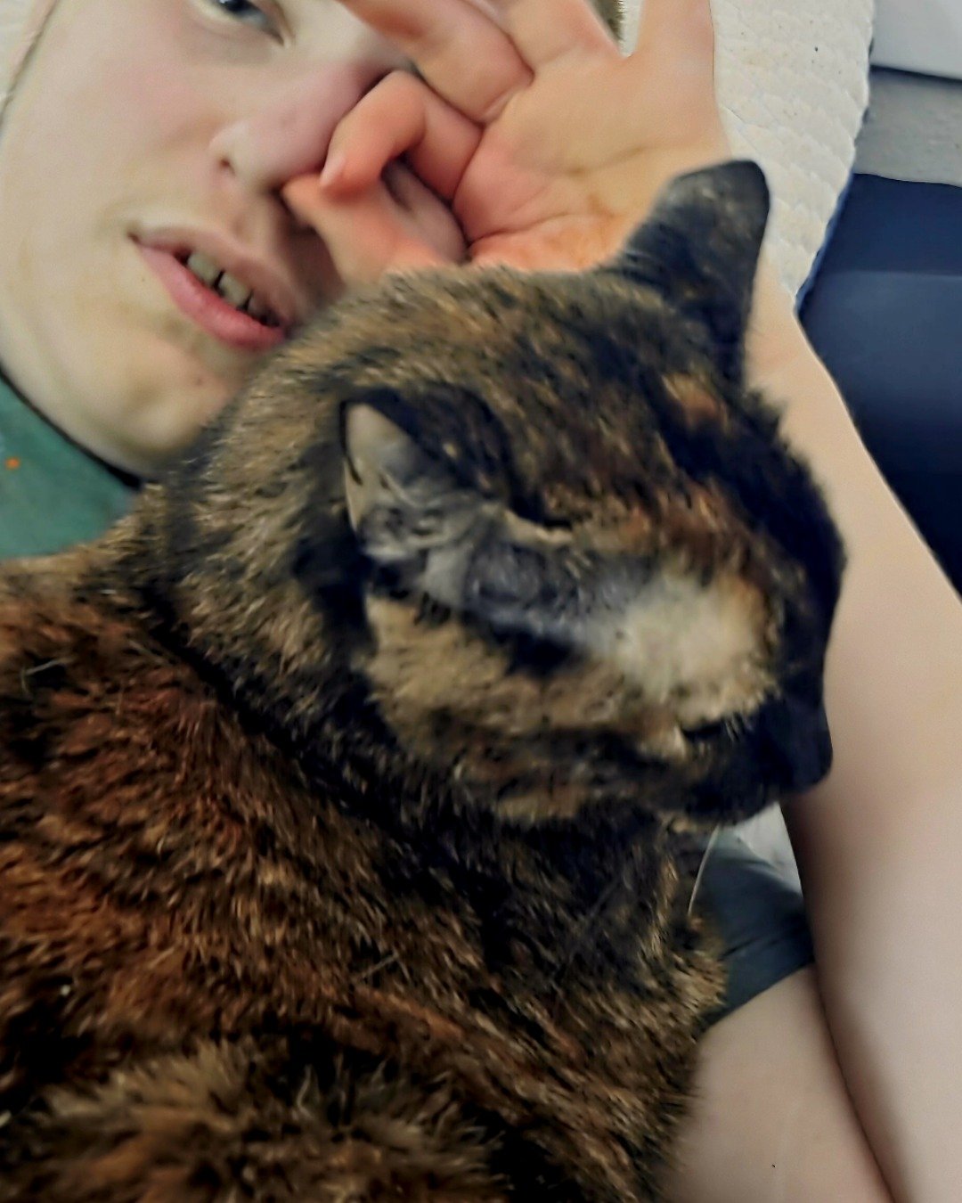 Sage. Person, Cat, Kitten
