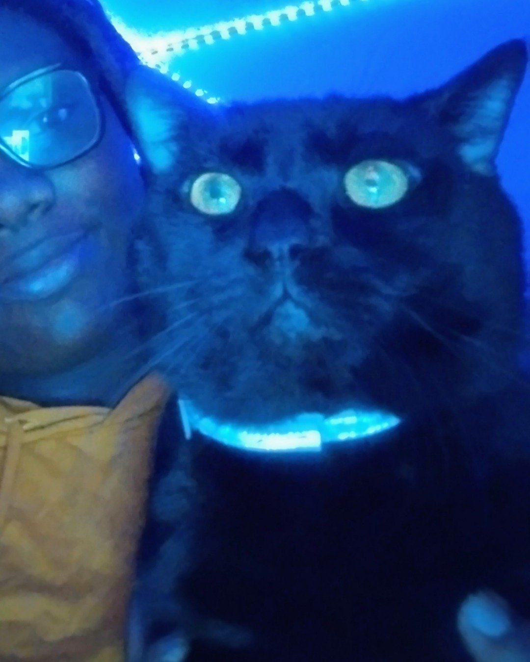 Hercules (Cool Herc) the Black cat. Accessories, Sunglasses, Person, Glasses, Lighting, Selfie
