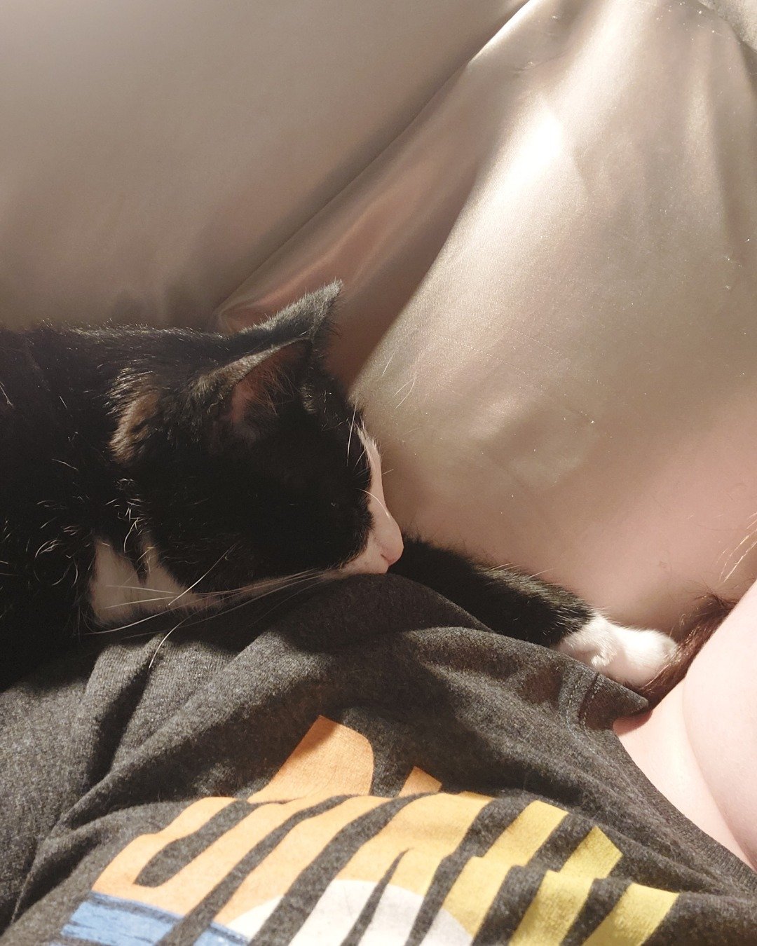 Nico di Angelo. Person, Sleeping, Couch, Furniture, Cat, Kitten