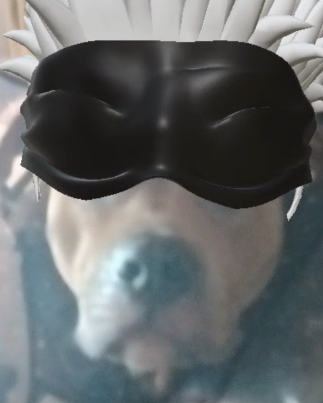 kujo the xl bully and American pit. Snout, VR Headset, Person