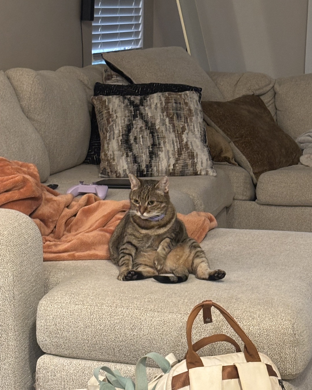 Luna — Couch, Furniture, Architecture, Building, Indoors, Living Room