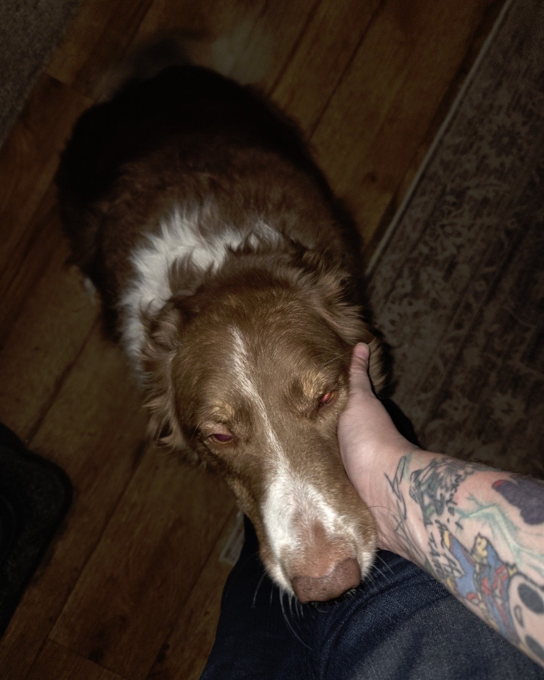 luna. Person, Skin, Tattoo, Dog, Puppy, Wood