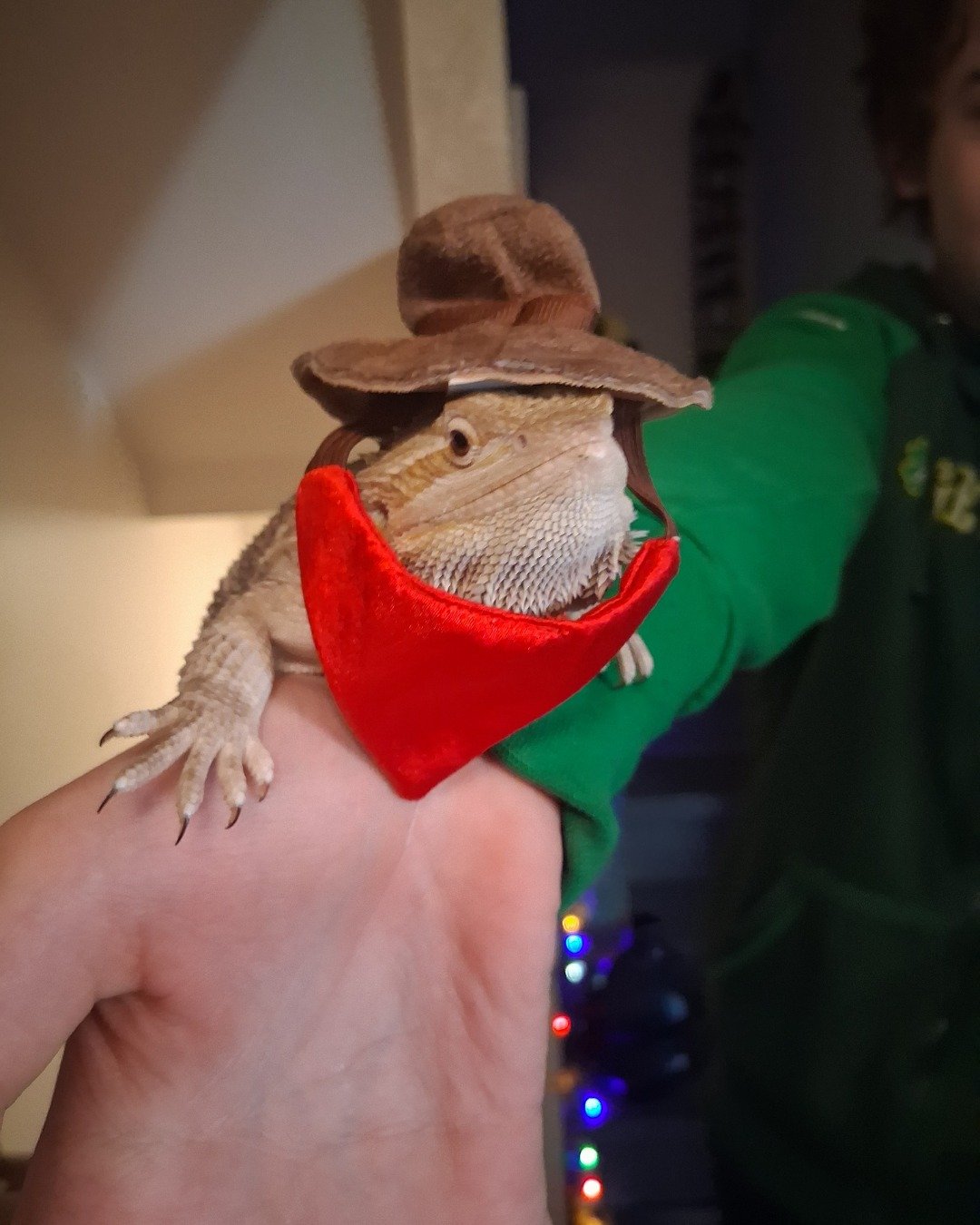 Aldawien "Al" for short. the Bearded Dragon