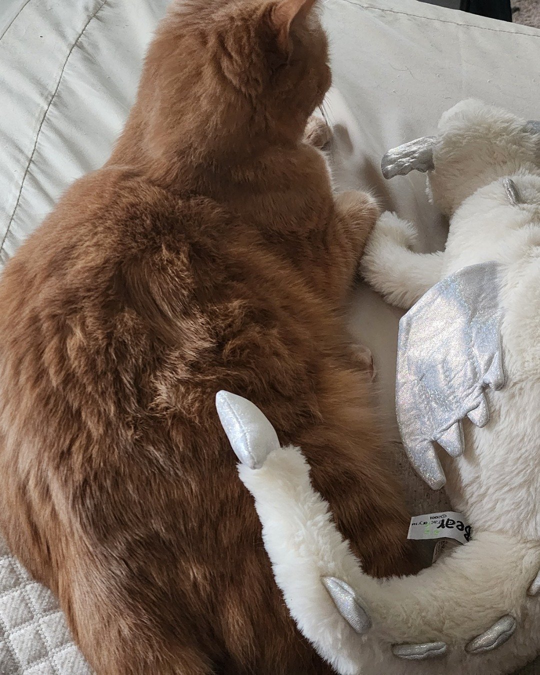 Harley the Orange Floof. Couch, Furniture, Cat, Home Decor, Bear