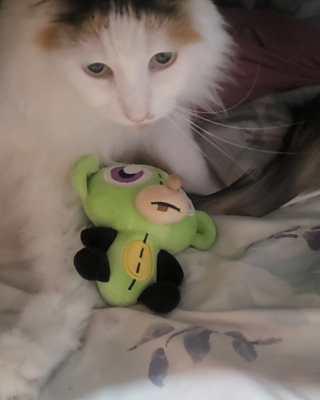 daisy. Plush, Toy, Cushion, Home Decor, Cat, Kitten