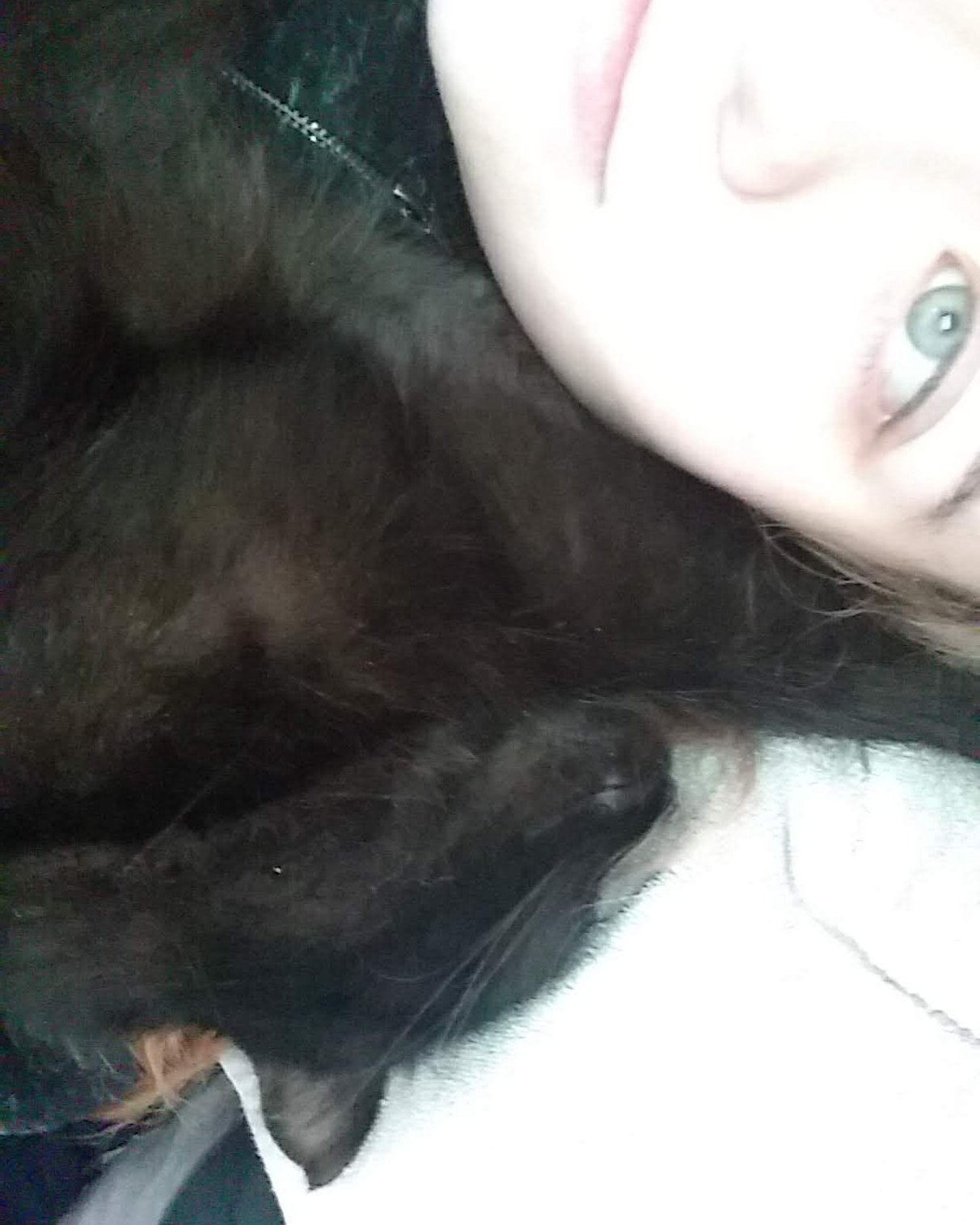 Sylvester the Unsure. Person, Selfie, Cat, Black Cat