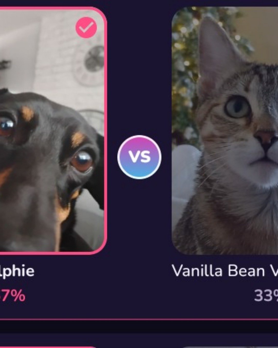 ralphie the wiener dog. Dog, Cat