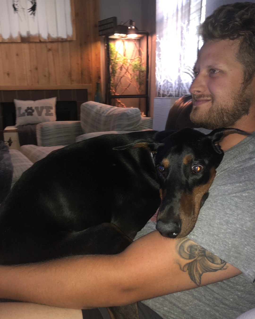 Dojo the Doberman Pinscher — Couch, Furniture, Person, Skin, Tattoo, Indoors