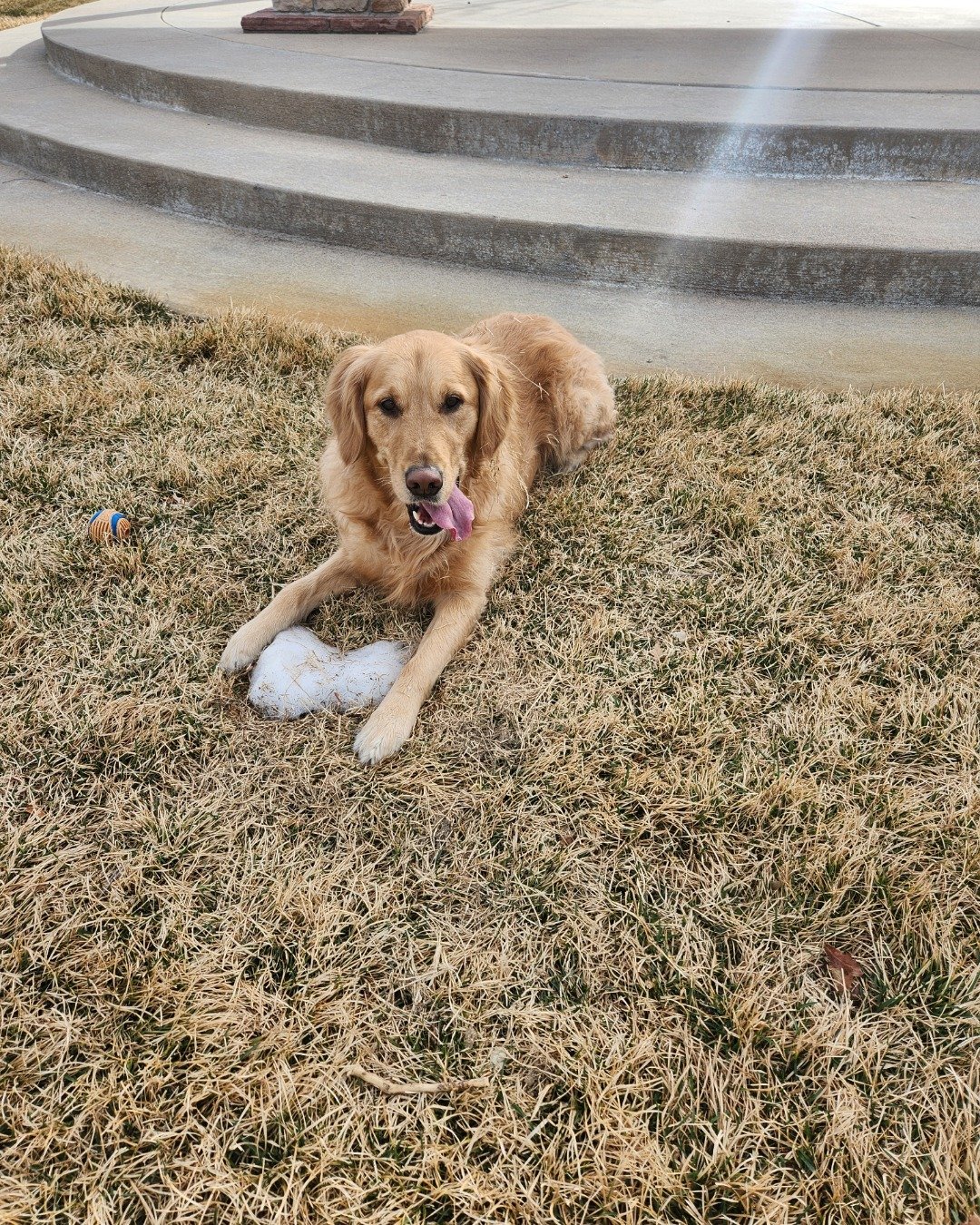 Jeffery — Ball, Football, Soccer, Soccer Ball, Sport, Grass