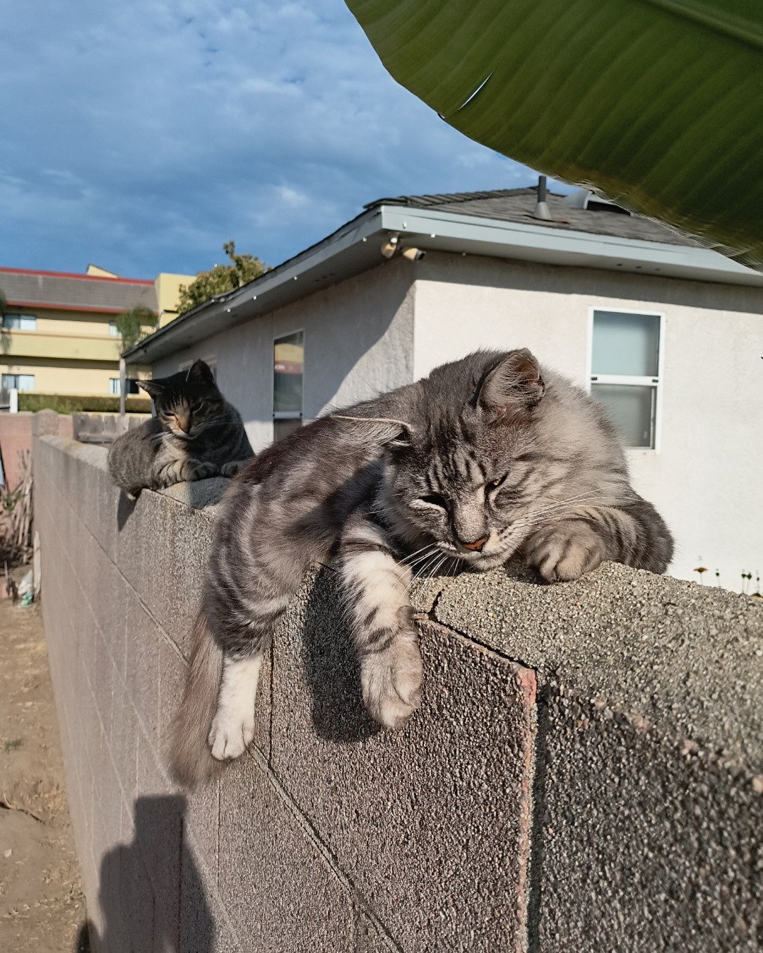 Yeti Freddie. Architecture, Building, Outdoors, Shelter, City, Road