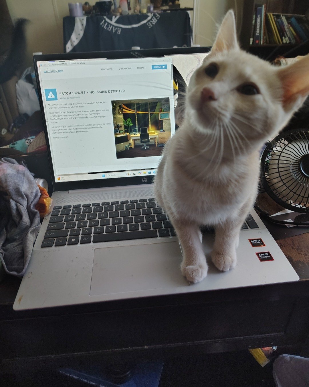 Aphrodite the orange kitty. Computer, Electronics, Laptop, Pc, Furniture, Table