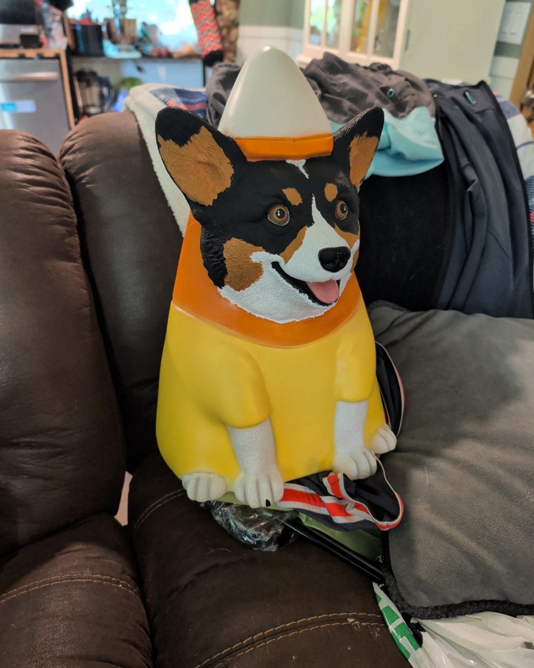 hazel the Paran Brook Corgi. Couch, Furniture, Clothing, Hat, Dog, Puppy