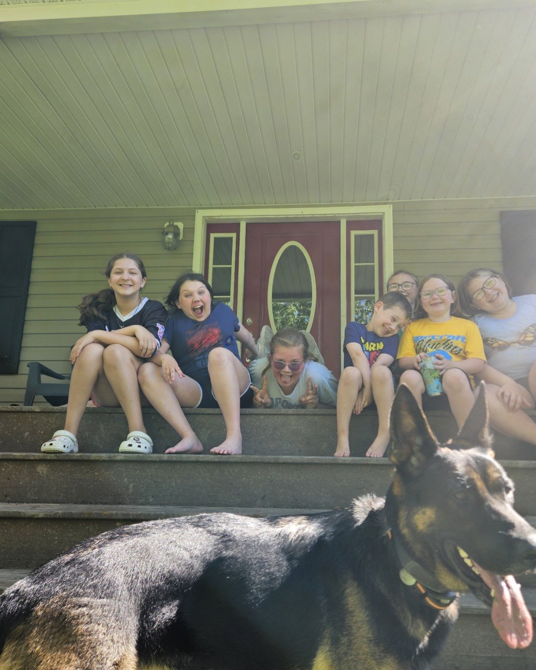 Nora i have multiple animals the German Shepherd.. Person, Architecture, Building, House, Housing, Porch