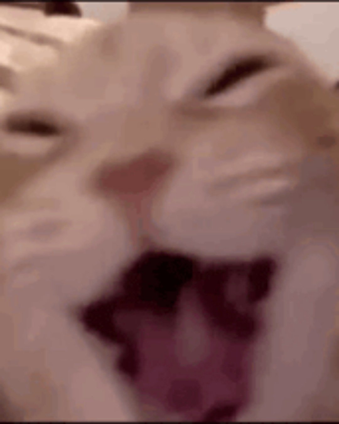 Ginger the tobby cat. Person, Body Part, Mouth, Cat