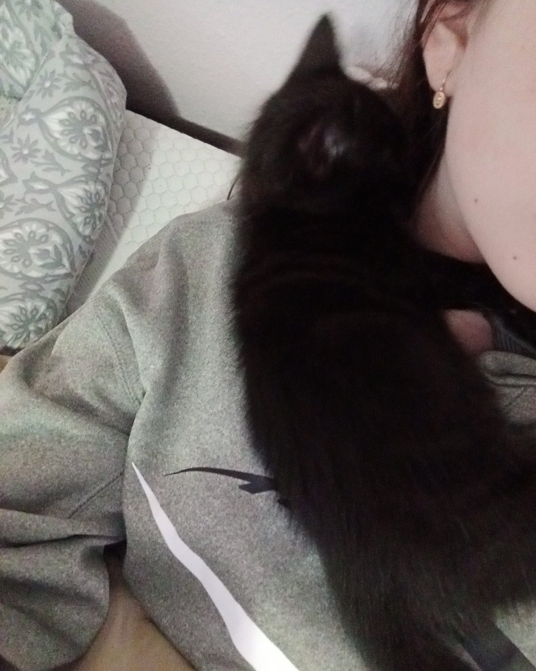 Suka. Couch, Furniture, Cushion, Home Decor, Cat, Kitten