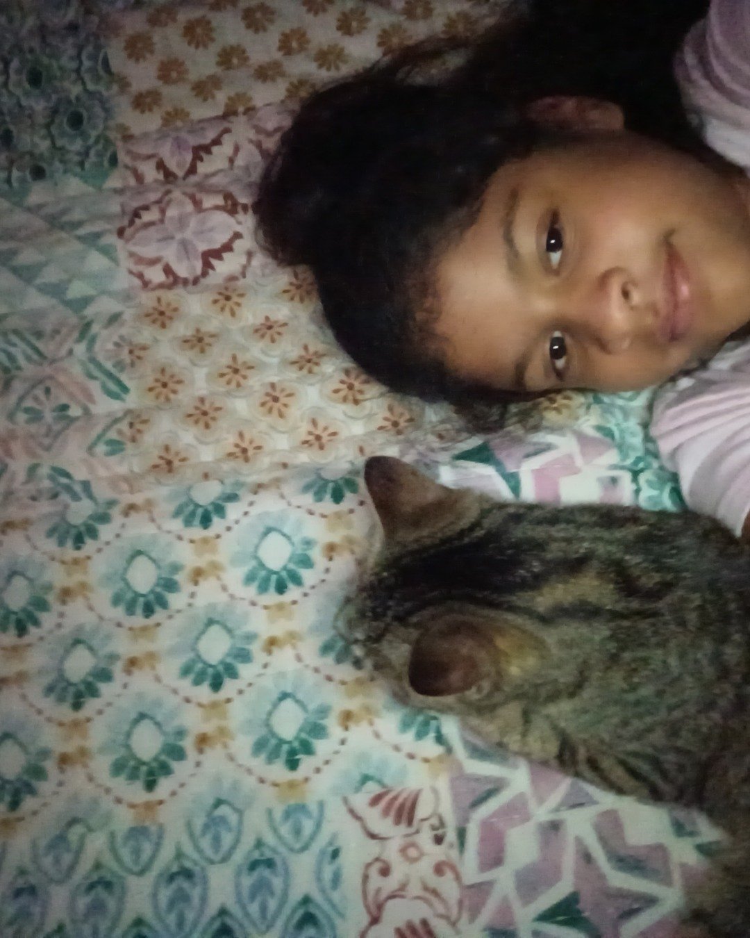 lilly. Person, Quilt, Baby, Cushion, Home Decor, Cat