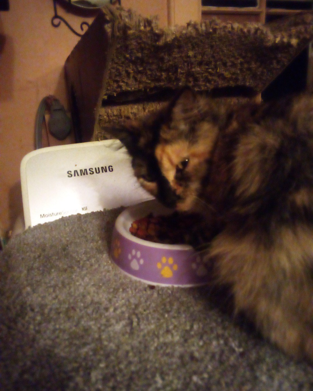 princess peach. Tape, Cat