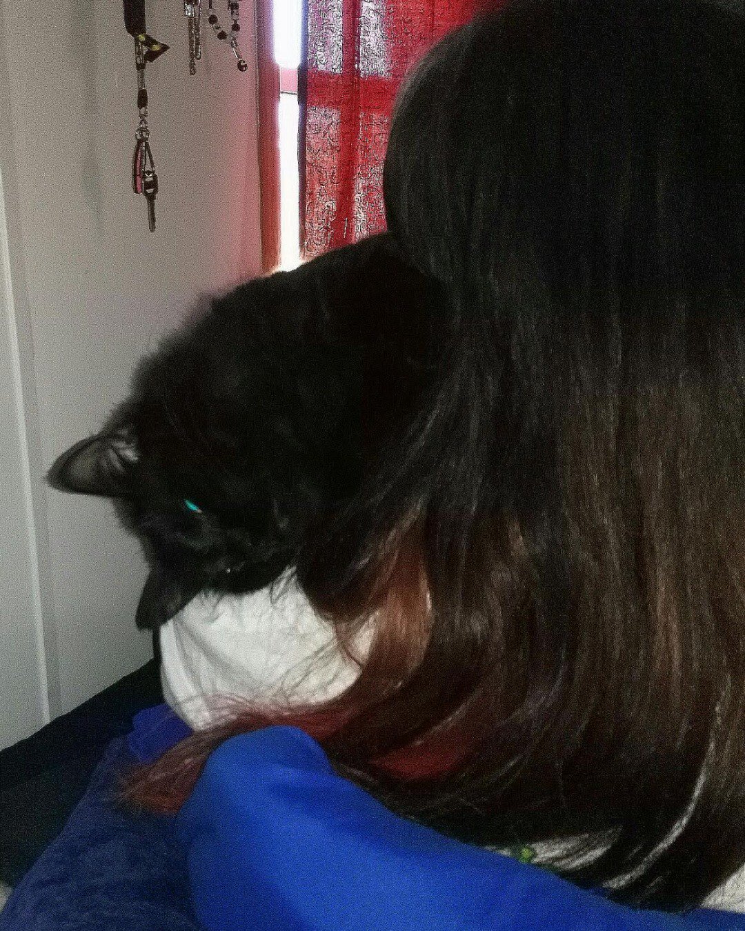 Sylvester the Unsure. Person, Cat