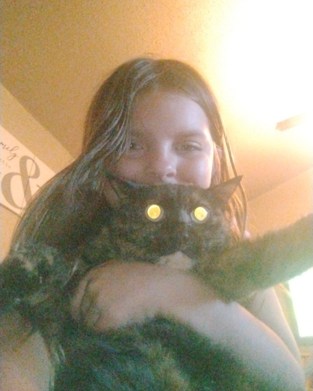 Layla. Person, Lighting, Cat, Selfie