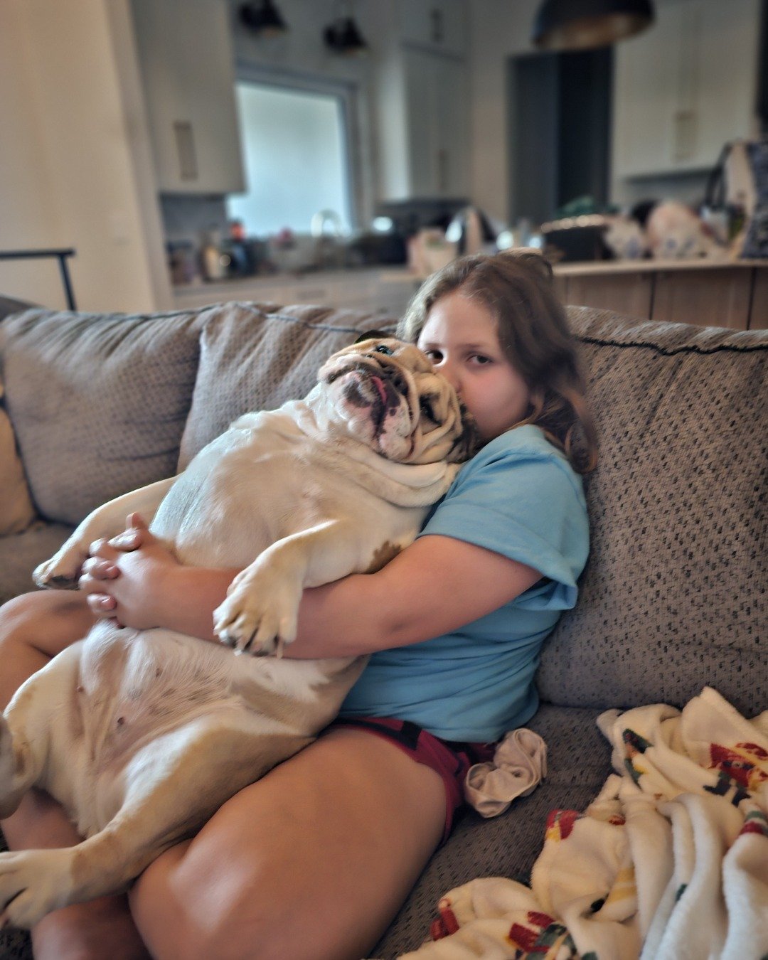 Ada Mae the English Bulldog. Couch, Furniture, Person, Bulldog, Dog, Pitbull