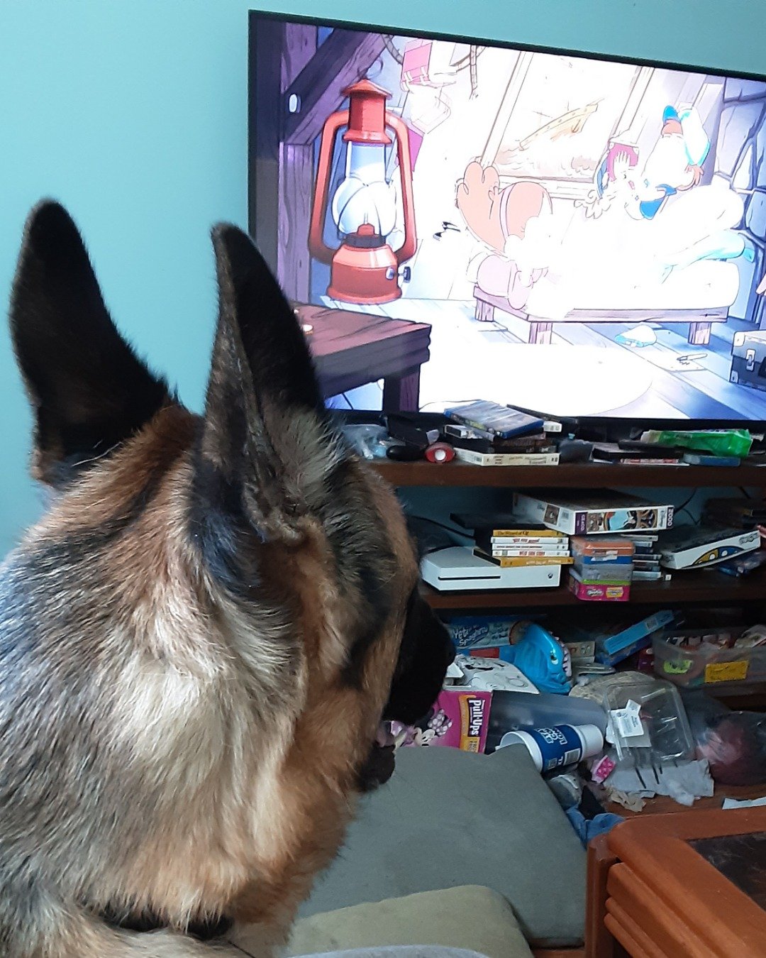 Boss the German Shepard. Computer Hardware, Electronics, Hardware, Monitor, Screen, TV