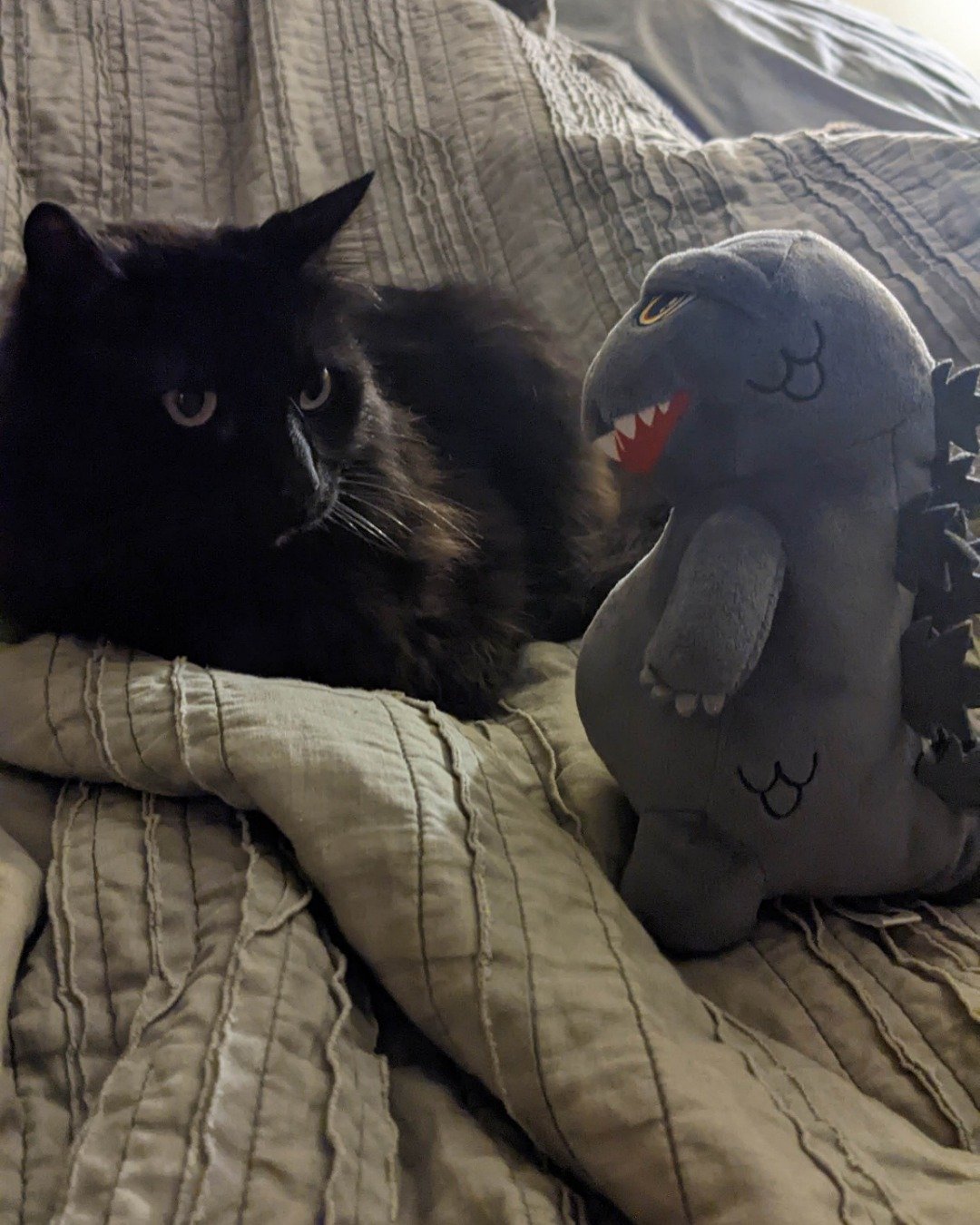 kaiju the black cat. Cushion, Home Decor, Couch, Furniture, Toy, Cat