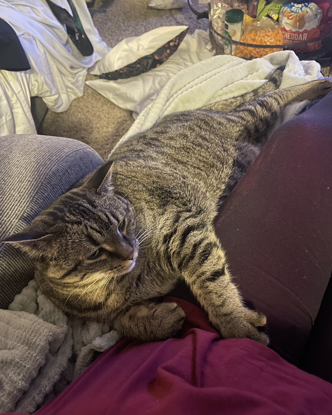 ReyRey — Couch, Furniture, Cushion, Home Decor, Person, Sleeping
