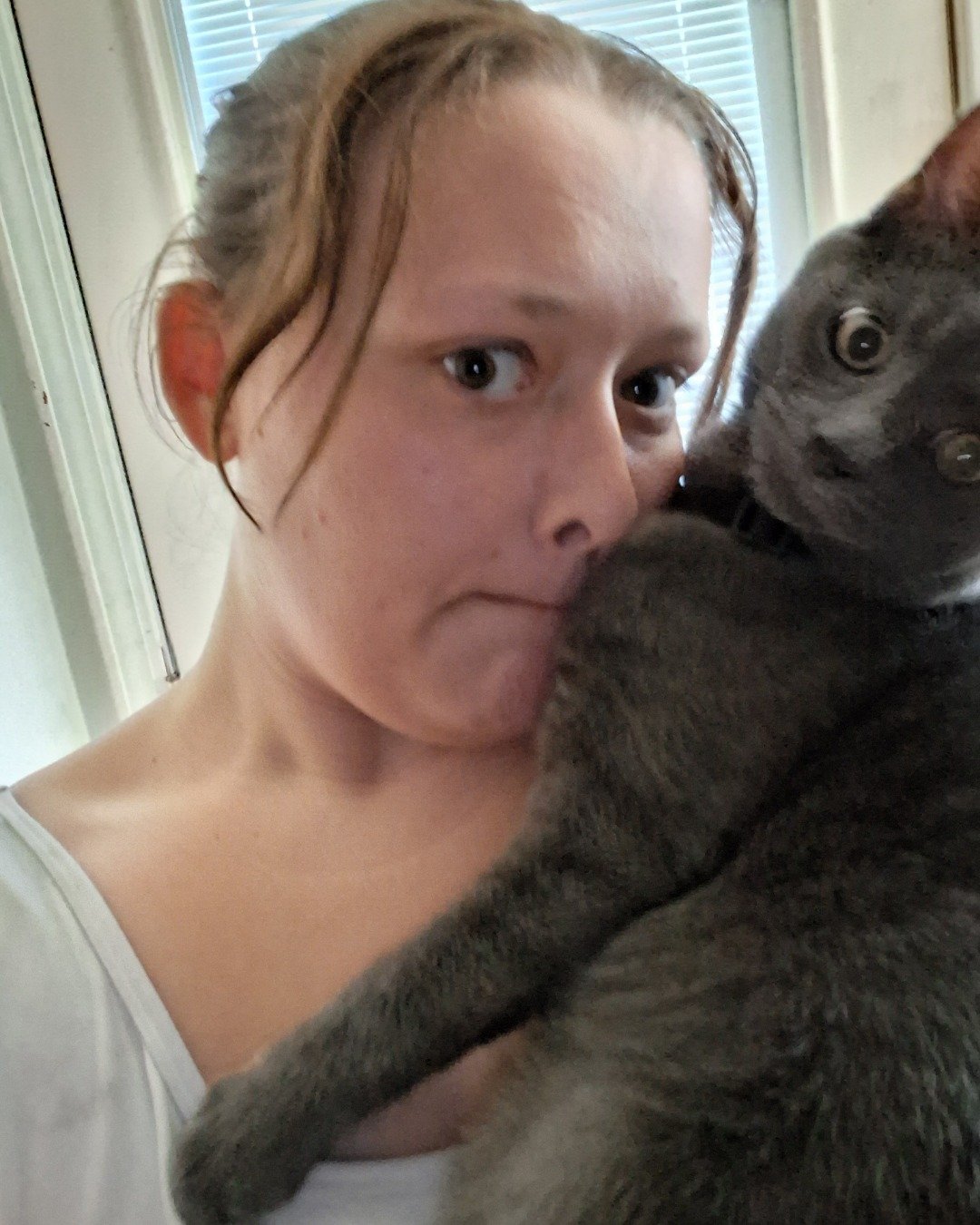 Biscuits the Russian blue. Person, Adult, Female, Woman, Selfie, Cat