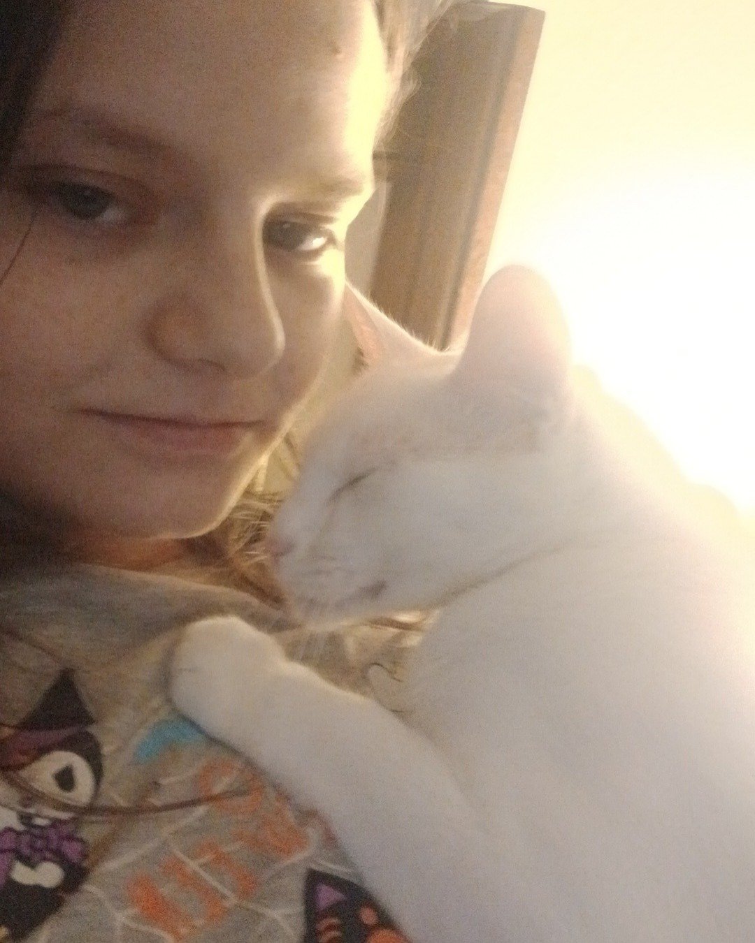 Snowball the White kitty. Person, Cat, Angora, Kitten
