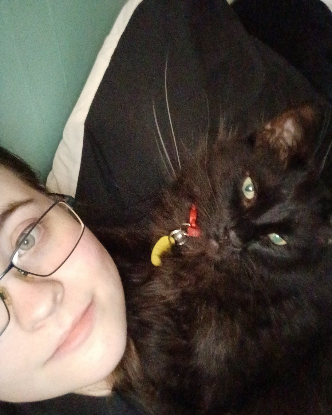 Sylvester the Unsure. Accessories, Glasses, Person, Couch, Furniture, Cat