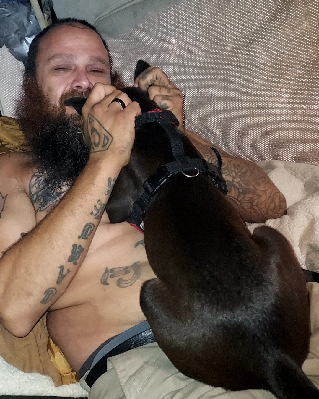 Meeko&Chabon the pit blue pugwennie. Person, Skin, Tattoo, Beard, Dog, Puppy