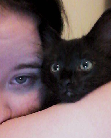 Sylvester the Unsure. Cat, Kitten, Person, Black Cat