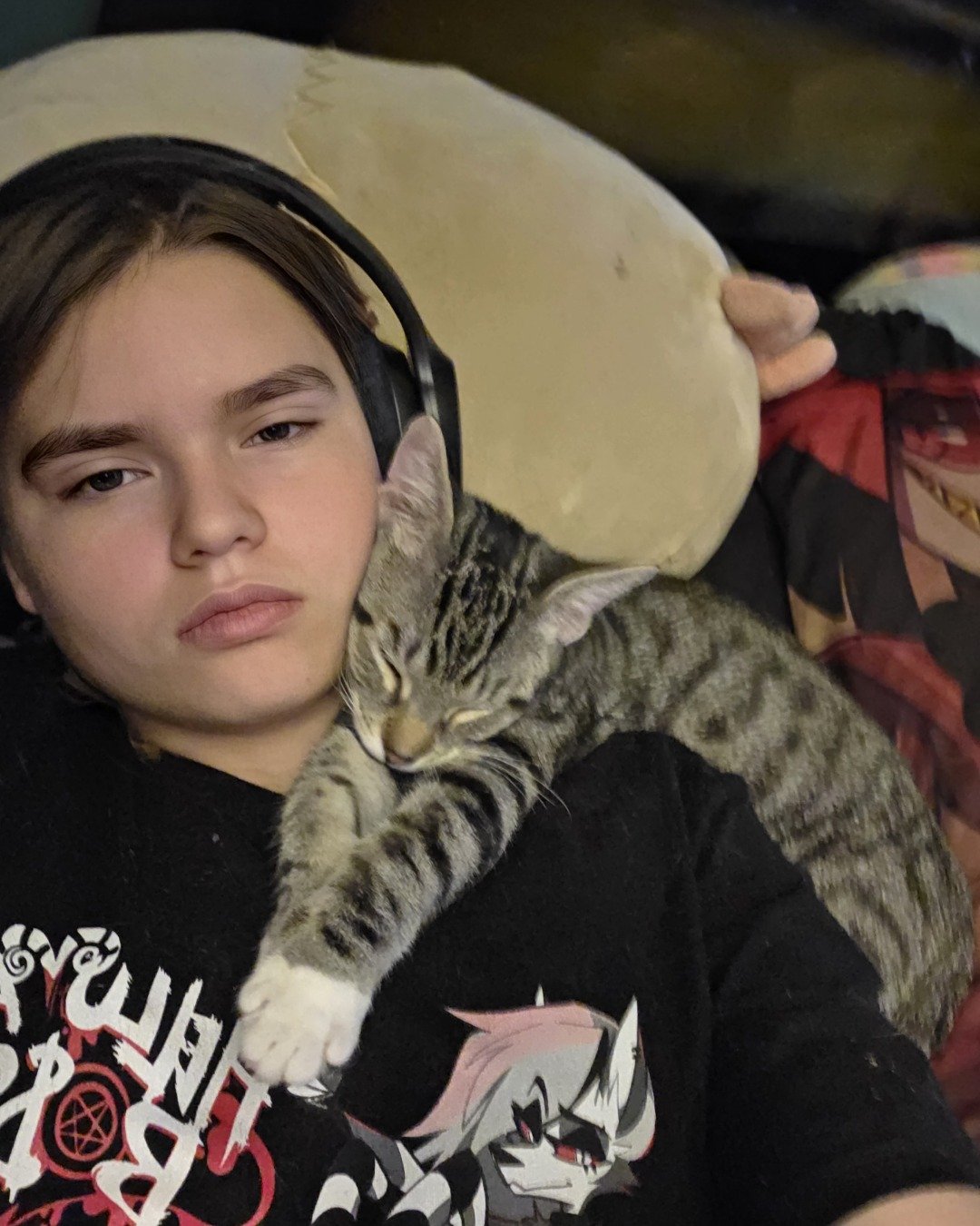 Tiger the Tabby. Person, Cat