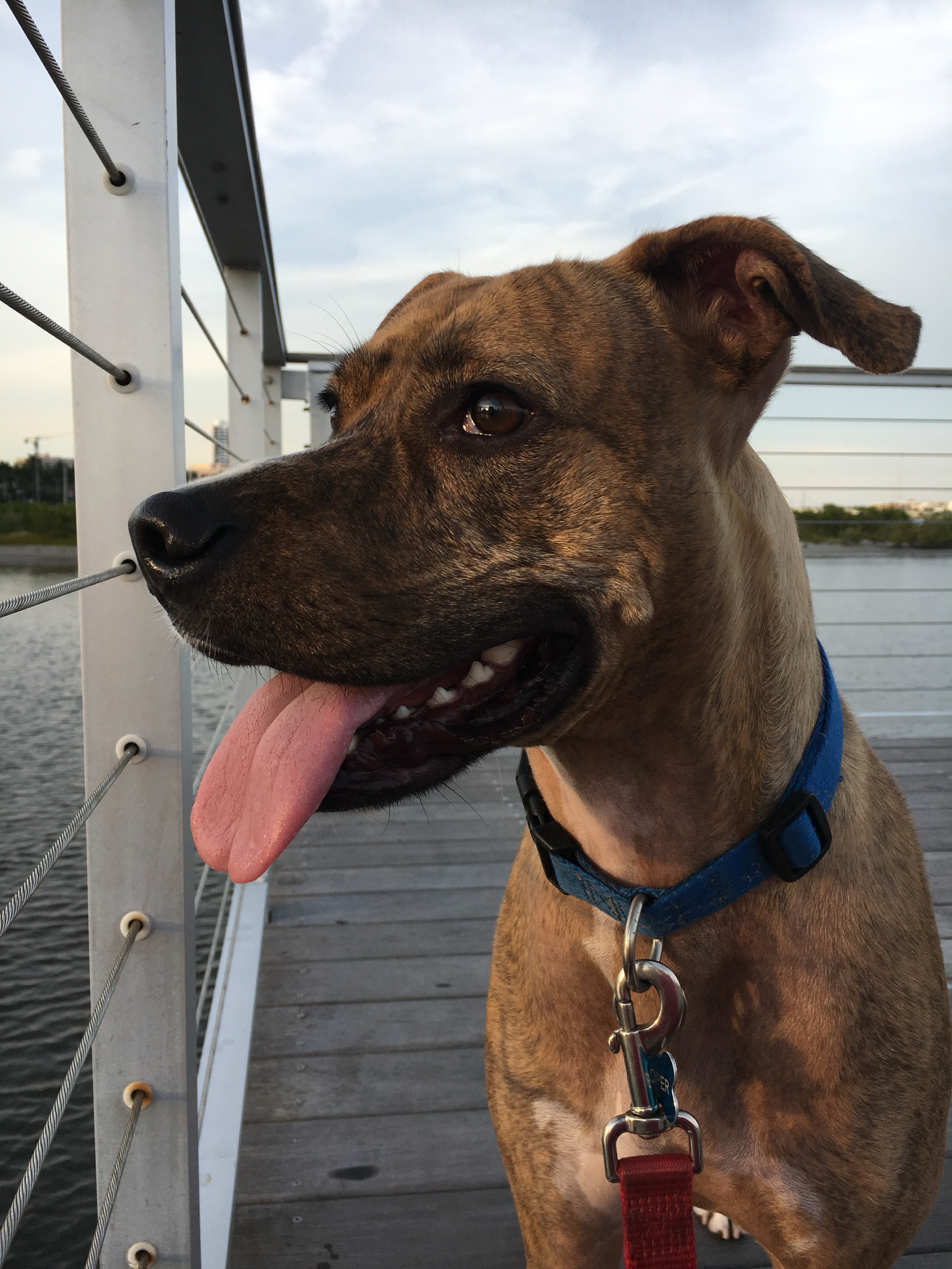 Cooper