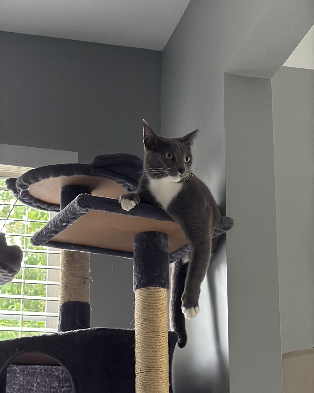 Hunter