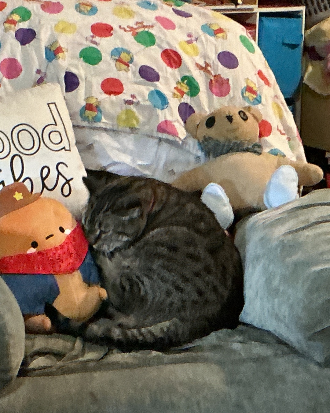 ReyRey — Cushion, Home Decor, Couch, Furniture, Cat, Teddy Bear