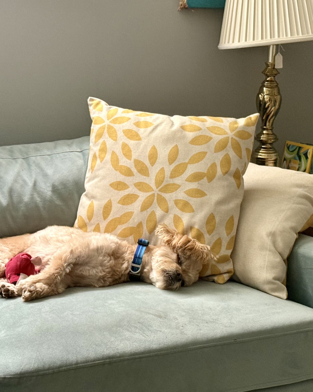 Chewie the Peekapoo — Cushion, Home Decor, Couch, Furniture, Pillow, Dog