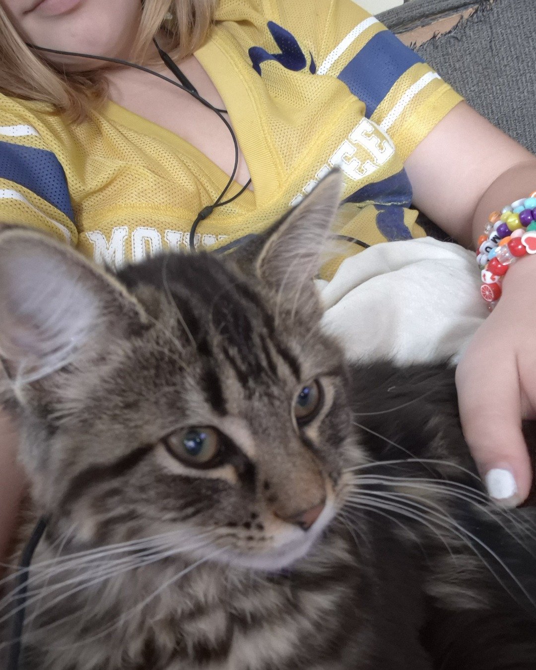 Noodle. Person, Accessories, Bracelet, Jewelry, Cat, Kitten