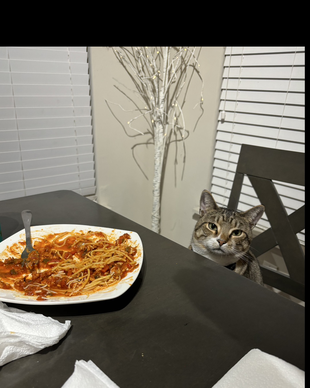 Jasper — Dining Table, Furniture, Table, Indoors, Interior Design, Food