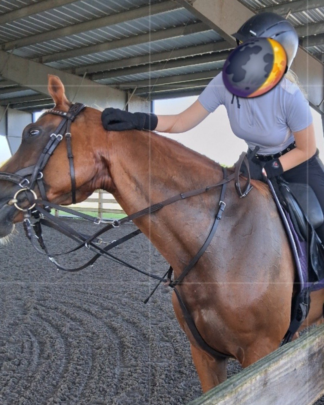 DEWY! the TB;ARABIAN Cross. Clothing, Glove, Helmet, Horse, Person