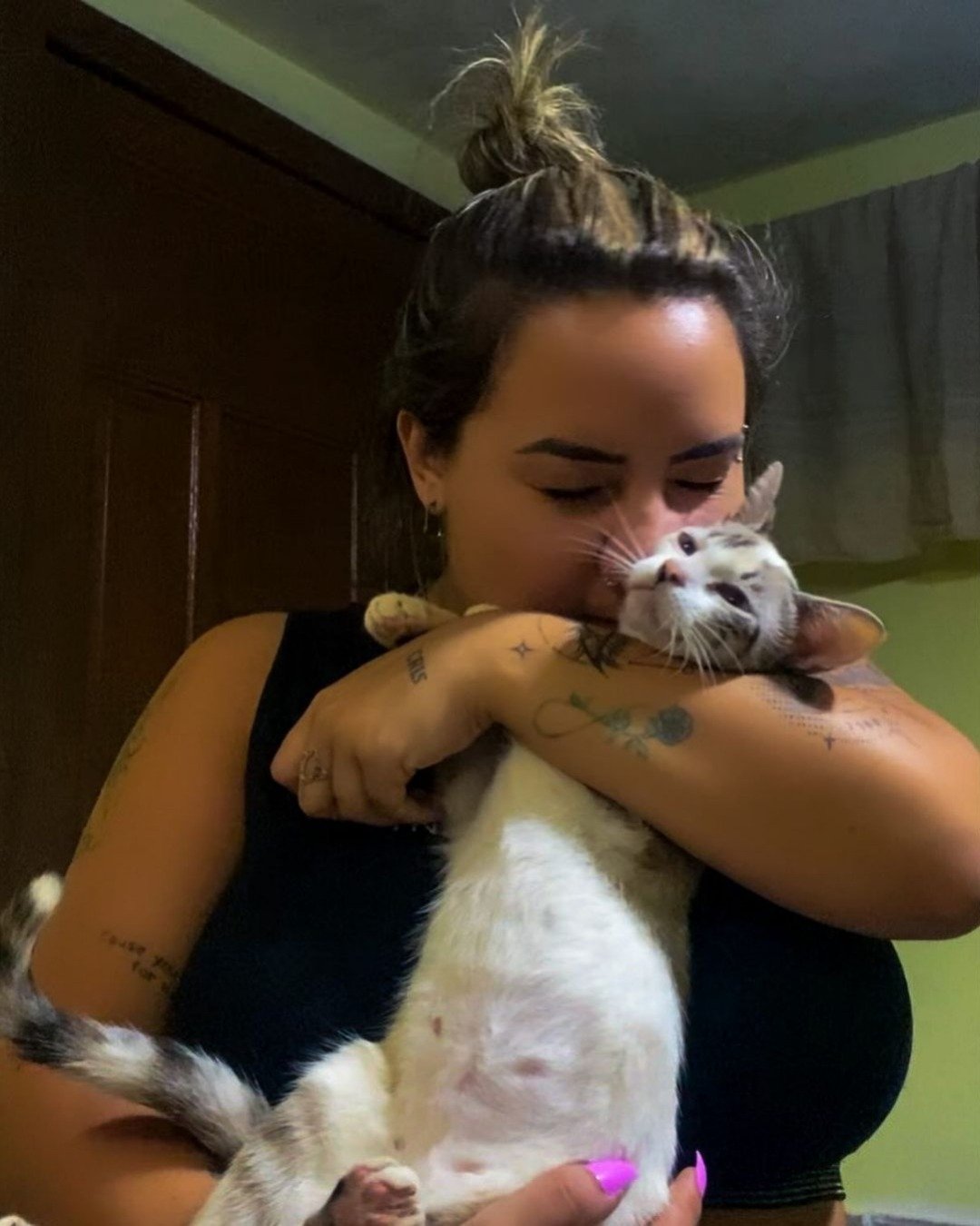 Mie Ana. Person, Cat, Kitten