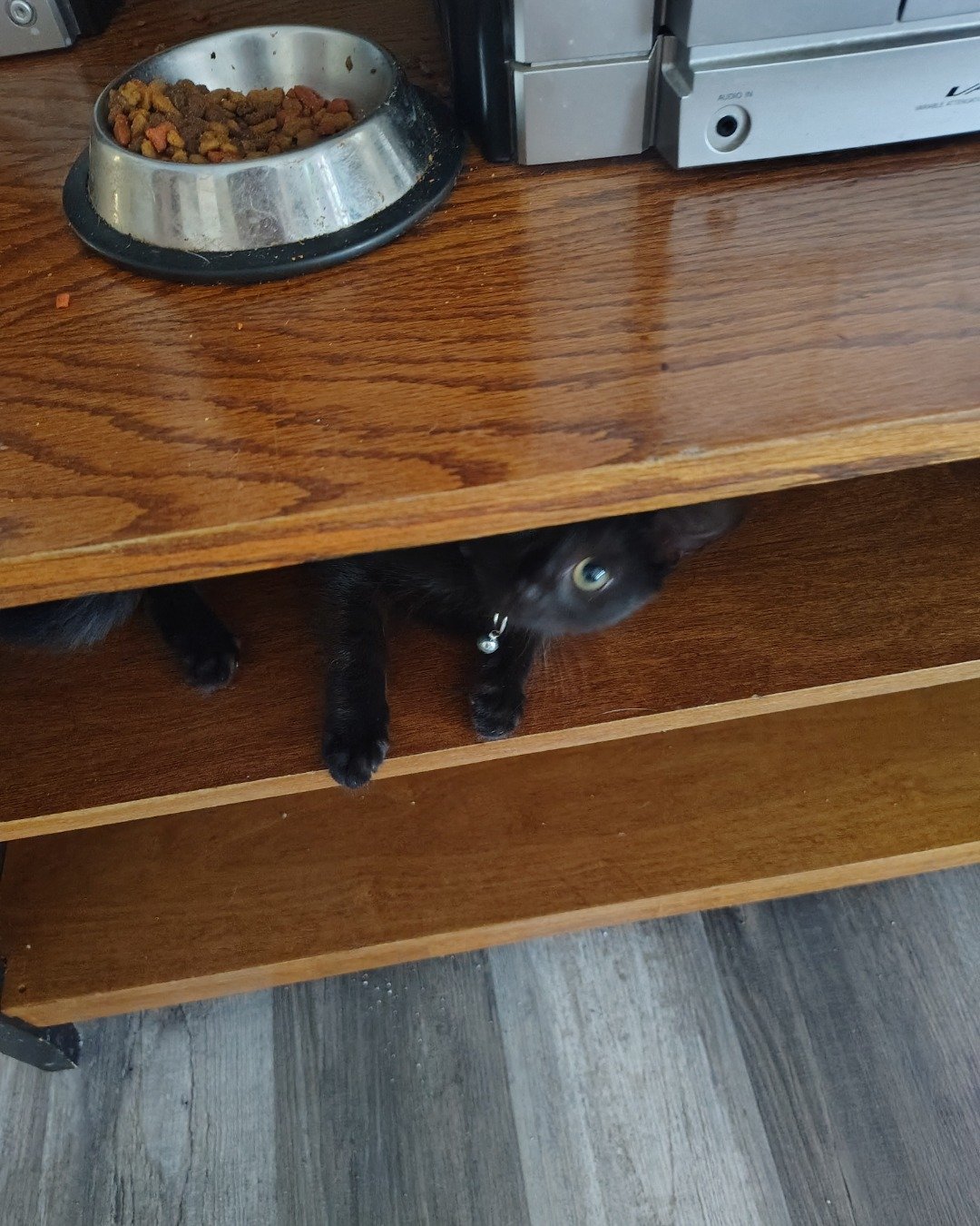 Fish. Wood, Hardwood, Drawer, Furniture, Stained Wood, Plywood