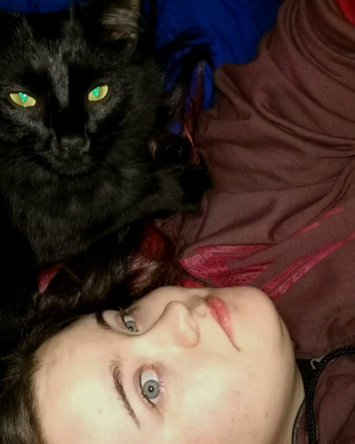 Sylvester the Unsure. Person, Selfie, Cat